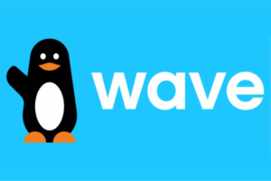 wave